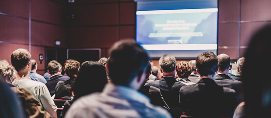 Image showing Speaker giving presentation on scientific business conference.