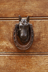 Image showing Ancient italian horse shaped door knocker on wooden brown door.