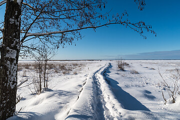 Image showing Trail in a frozen wetland