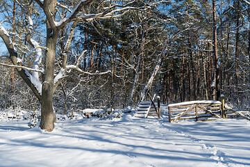 Image showing Stile and gate into a forest