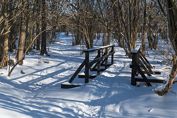 Image showing Wooden footbridge in a snowy forest