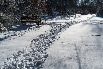 Image showing Winding footpath in a snowy landscape