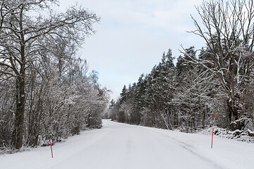 Image showing Snow stakes by a winding road