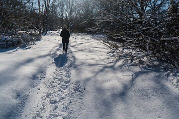 Image showing Woman walking on a snowy trail