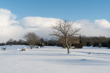 Image showing Untouched winter landscape