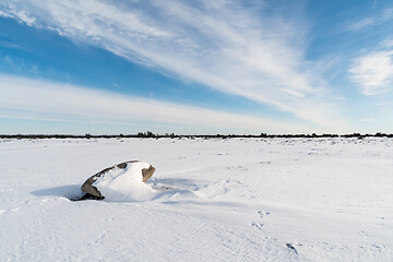 Image showing Winter view in a great plain landscape