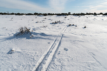 Image showing Ski tracks in a great plain landscape