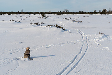 Image showing Ski tracks in a marked pathway