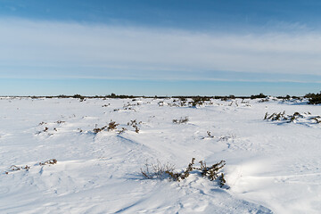 Image showing Winter in the World Heritage Stora Alvaret in Sweden