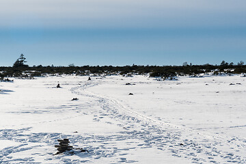 Image showing Ski tracks in a marked lane