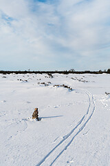 Image showing Stone cairn and ski tracks in a wintry landscape