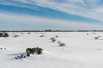 Image showing Winter season in a wide open great landscape