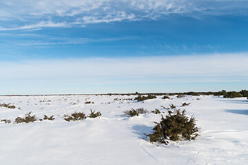 Image showing Snowy great plain landscape