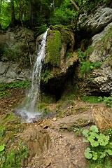 Image showing Small waterfall in the forest in Wutach Gorge, Germany