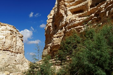 Image showing Scenic cliffs of Ein Avdat (Ein Ovdat) gorge in Israel