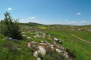 Image showing Green Mediterranean valley among hills in spring