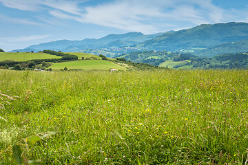 Image showing Green meadow in mountain.