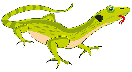 Image showing Reptile animal lizard on white background is insulated