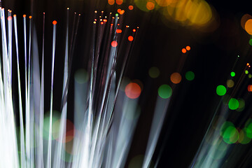 Image showing Fiber optical network cable