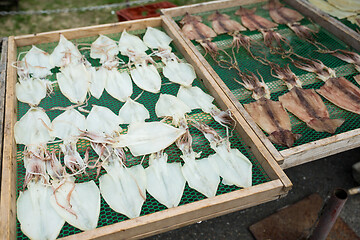 Image showing Drying squid and fish in market