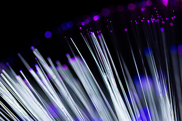 Image showing Multicolor fiber optics