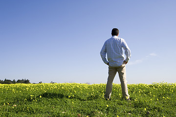 Image showing Man in the field