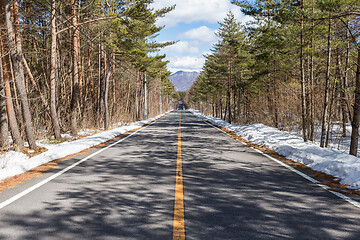 Image showing Winter time in forest with road