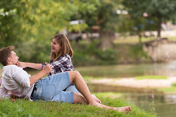 Image showing Couple in love enjoying picnic time