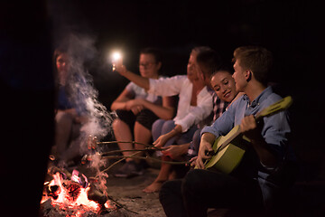 Image showing young friends relaxing around campfire