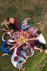 Image showing top view of group friends enjoying picnic time