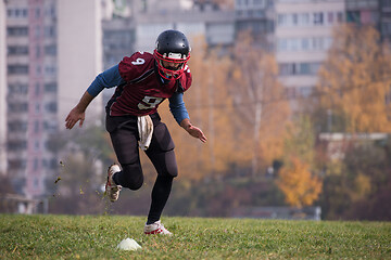 Image showing american football player in action