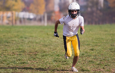 Image showing american football player in action