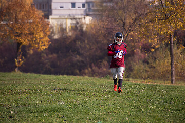 Image showing american football player in action