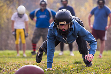 Image showing american football player in action