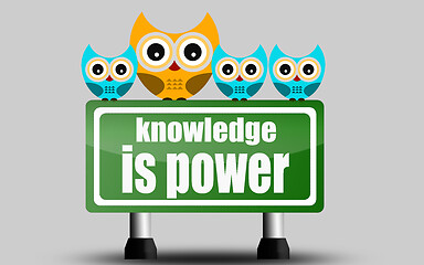 Image showing Knowledge is power road sign with cute owls