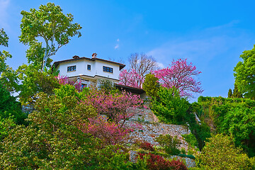 Image showing House on a Hill