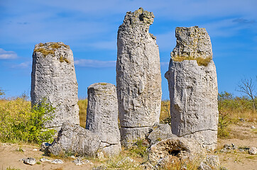 Image showing The Stone Desert