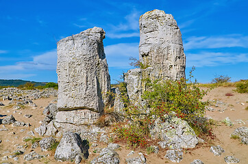 Image showing The Stone Desert