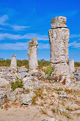 Image showing The Stone Desert