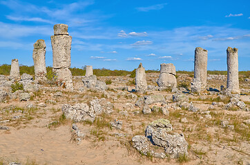 Image showing The Stone Desert