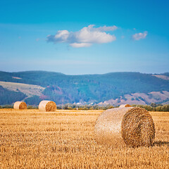 Image showing Haystacks on the Field