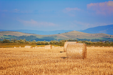 Image showing Haystacks on the Field