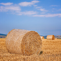 Image showing Haystacks on the Field