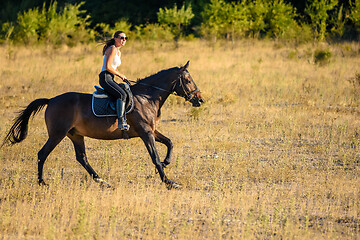 Image showing Girl rides a horse across the field on a sunny day