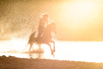 Image showing A girl rides a horse in the water along the river bank in the rays of sunset