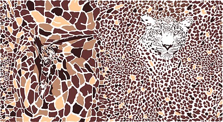 Image showing Abstract texture of giraffe and leopard