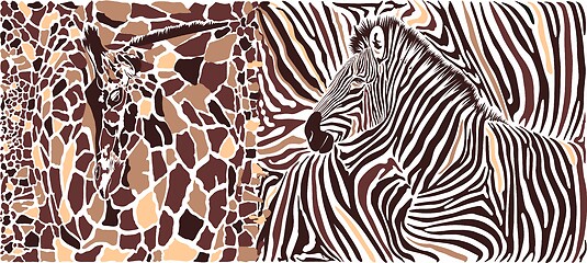 Image showing Abstract texture of giraffe and zebra