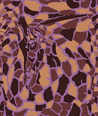 Image showing Abstract texture of giraffe head and skin