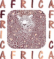 Image showing Africa and abstract texture of leopard