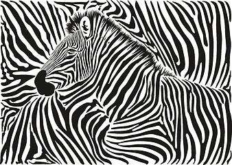 Image showing Background with a zebra motif